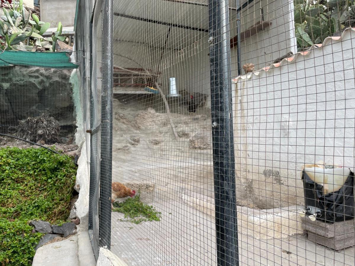 Casa Niagara Βίλα El Jaral Εξωτερικό φωτογραφία