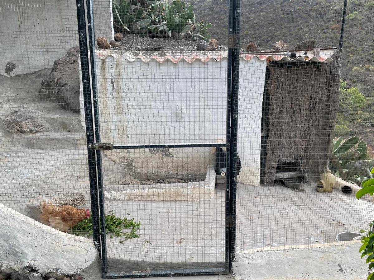 Casa Niagara Βίλα El Jaral Εξωτερικό φωτογραφία